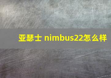 亚瑟士 nimbus22怎么样